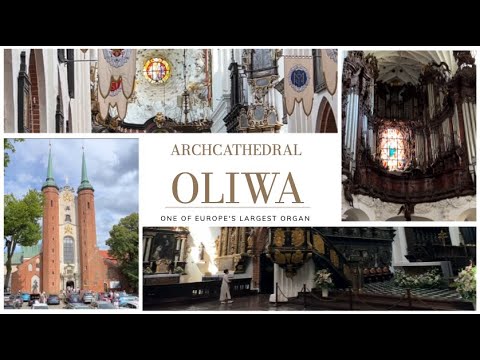 ARCHCATHEDRAL OLIWA GUIDE I  the Majestic Oliwa, Gdańsk.🎥⛪️
