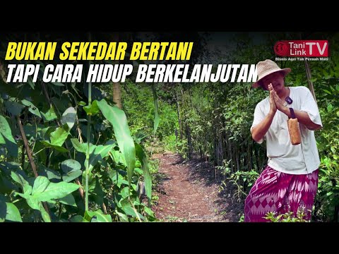 Belajar Permaculture di Bumi Langit: Menyatu dengan Alam, Menjaga Kehidupan
