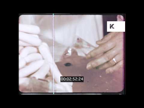 1960s, 1970s UK, Workers at Sausage Factory, Food Production, 16mm