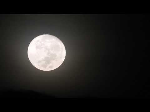 10,000 Maniacs - Because The Night