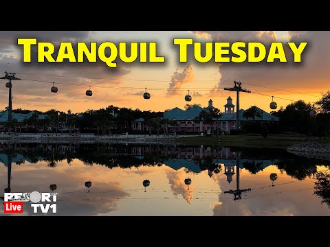 🔴Live: Tranquil Tuesday - A Relaxing Evening on the Disney Skyliner - Walt Disney World - 1-6-26
