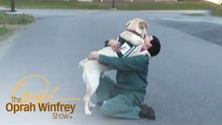 Service Dog Helps Veterans | The Oprah Winfrey Show | Oprah Winfrey Network