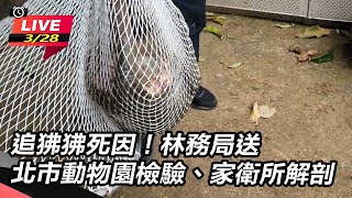 追狒狒死因!林務局送北市動物園檢驗