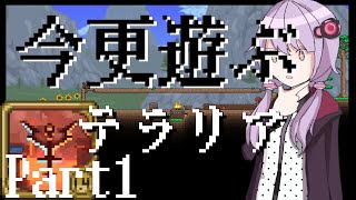 【Terraria】今更遊ぶテラリア Calamity mod [Part.1]