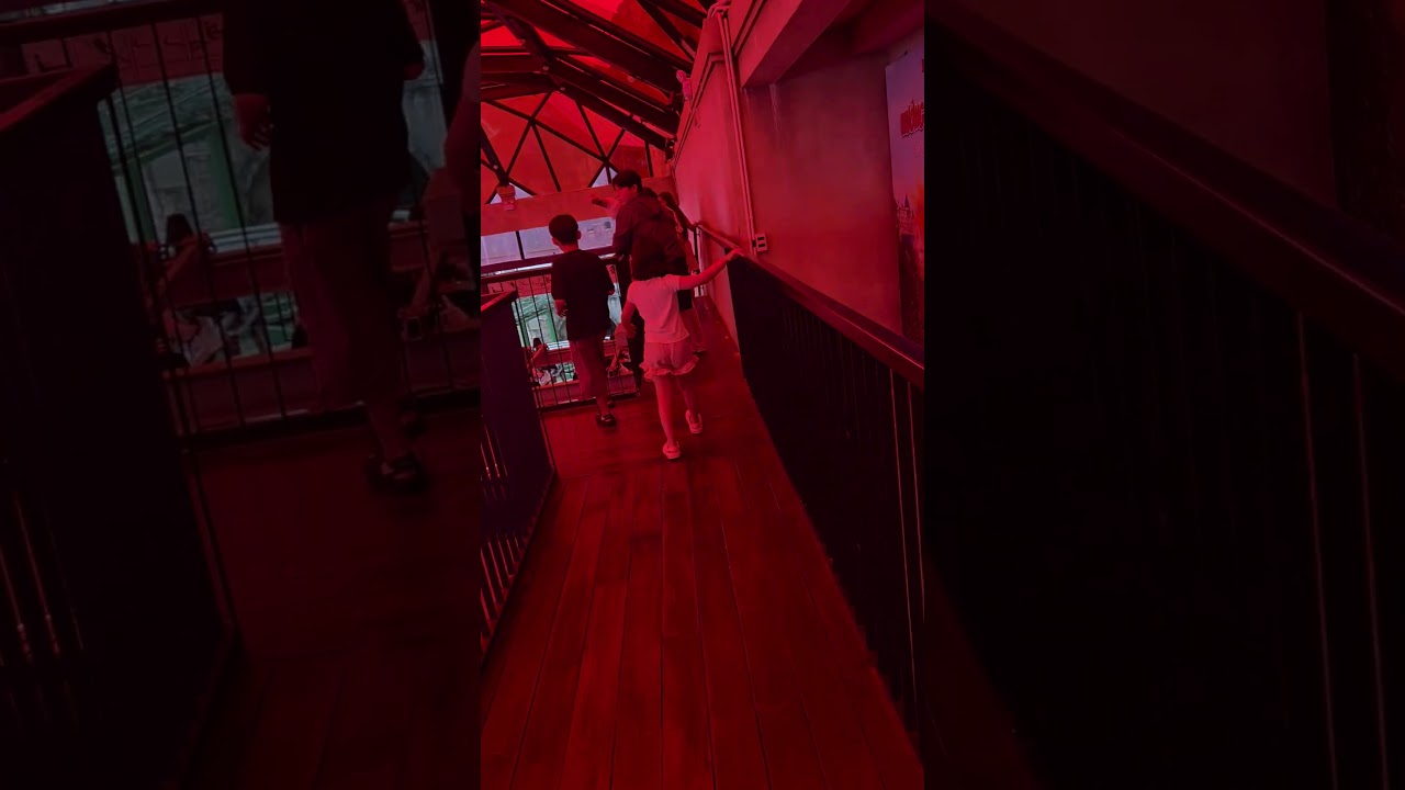 러블리 비글's 베트남 다낭여행 ep.4#바나힐#베트남명소#다낭볼만한곳#골든브릿지