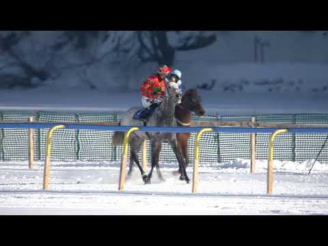 Race 6 Flachrennen 1600m, GP Sport Mind and Friends