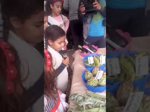 Fruits du printemp de ranya