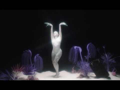 Duda Beat - Tara e Tal | DC. Duda Beat Tara & Tour