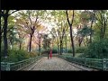 Tu Hi Meri Shab Hai Tu Hi Meri Subah Imran Hashmi Song