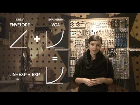 Patchení s Nikol (Linear vs Exponential)