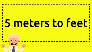 5 meters to feet