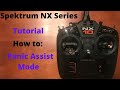 Spektrum NX Setup:  Panic Assist Mode for AR630/AR631/AR637TA BNF (NX6/NX8/NX10)
