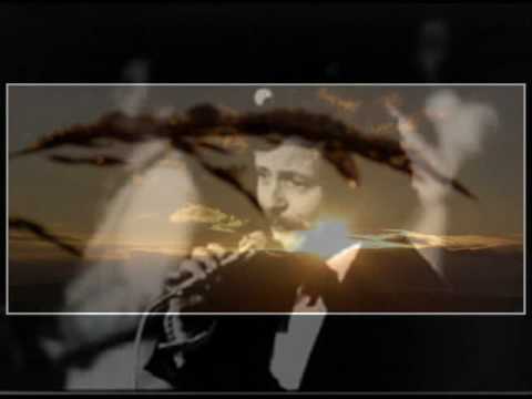 Petr Spálený - Dáma při těle