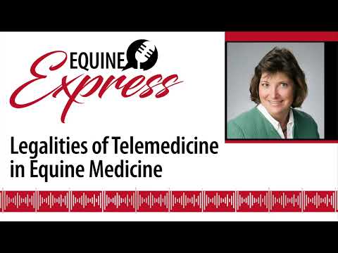 Equine Express Podcast | Legalities of Telemedicine in Equine Medicine