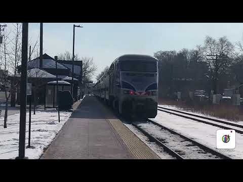 Metra 81 Inbound Departing At Fox Lake, IL