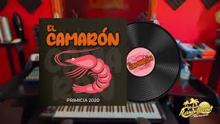 Download lagu LA NANO BAND EL CAMARON PRIMICIA 2020... mp3