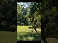️ Poovai Virinju Adharvam Malayalam Ilaveyilu Thazhugiyiru Malayalamcoversong ️