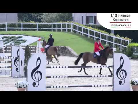 OE RT 1.  Mark Mcauley |  6 Y. O  Mixed Competition 08.05.16