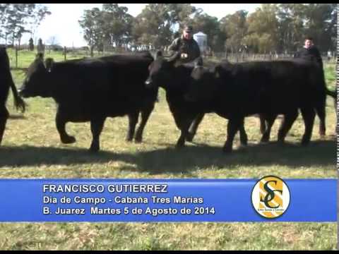 Día de Campo - Cabaña Tres Marías - Francisco Gutierrez - Parte 2 - 05/08/2014