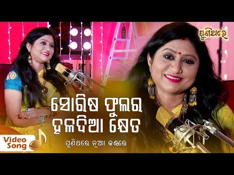 Sorisa Phulara Haladia Kheta | Odia Romantic Song By Namita Agrawal | Puni Thare