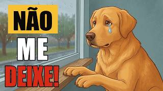 Nunca DEIXE seu cachorro SOZINHO sem antes fazer ISSO 🦮