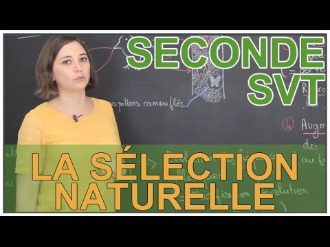 Natural Selection - SVT Seconde - Les Bons Profs