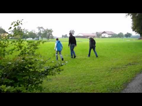 St. Radegund - WM-Gelände