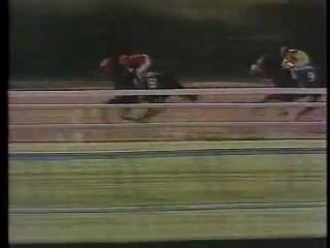 Bold Forbes - 1976 Belmont Stakes