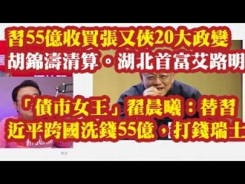 习55亿收买张又侠20大政变，胡锦涛清算。千亿帝国破灭！湖北前首富艾路明。“债市女王”翟晨曦：替习近平跨国洗钱55亿，打钱到瑞士银行 2026-08-11 00:10