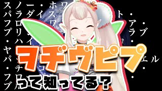 エルフのえるの本名の秘密【エルフのえるアーカイブ④】