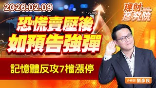 恐慌賣壓後如預告強彈；記憶體反攻7檔漲停 (圖)