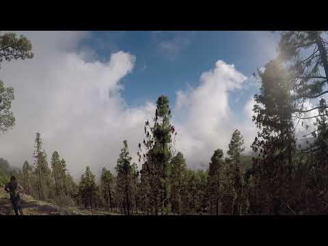 El Contador 4, Villa de Arico   Tenerife Oct2022