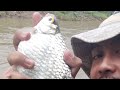 CRAZY ️ I HAVEN T FISHED AT THIS SPOT FOR A MONTH AND THE FISH ARE ALREADY HUGE ️