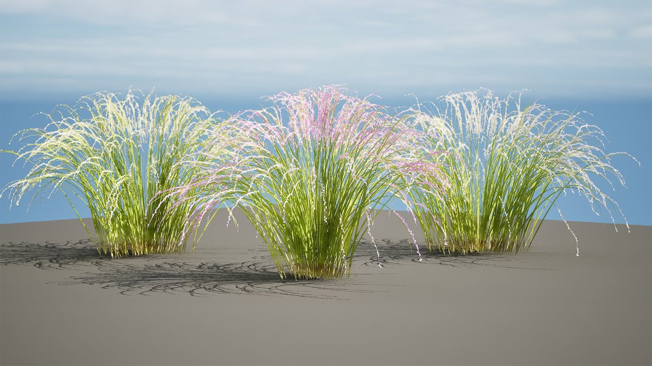 Purple Love Grass Collection 3D Model