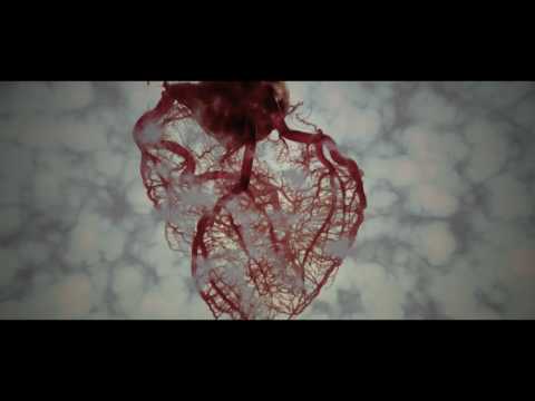 Forgetting The Memories - Sarcoma 7 (Official Lyric Video)