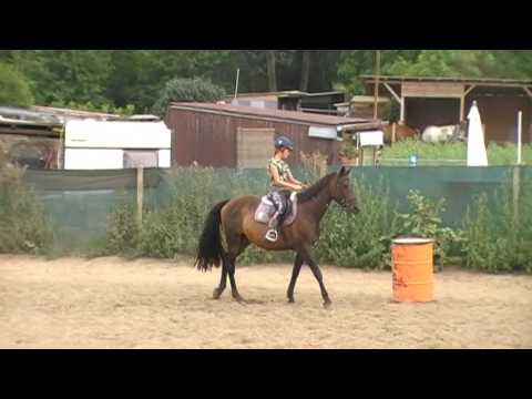 5. turnus 2016 - Soňa Pavelková Mortischa