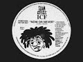 ICF Now Or Never Da Klan Mix 1997
