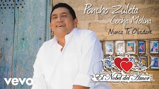 Poncho Zuleta, El Cocha Molina - Nunca Te Olvidaré (Audio)