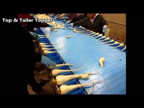 Haith Parsnip Topper Range