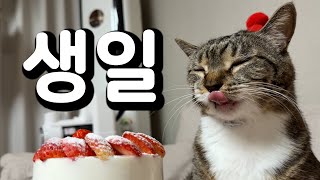 태어나줘서 고마워❤️