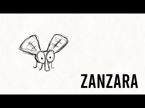 Zanzara - Marcilo Agro e il duo Maravilha
