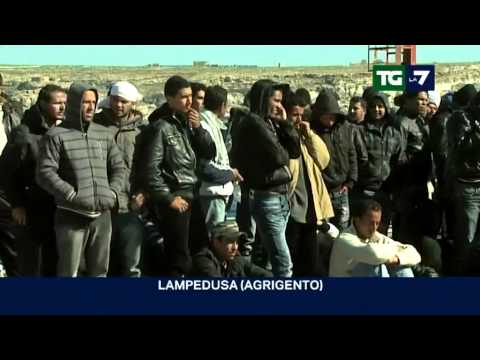 Edizione delle 20.00 del 03/04/2011