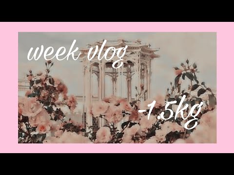 TW: ED | A week of eating | Mostly low res