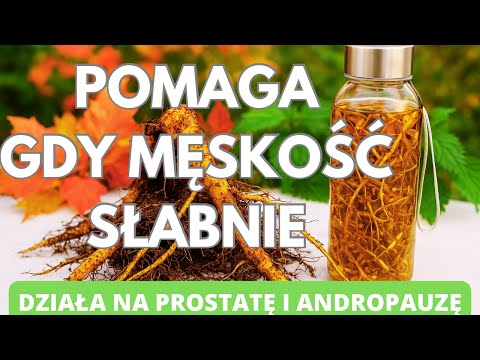 Pomaga gdy męskość słabnie. Działa na prostatę i andropauzę. Korzeń pokrzywy ma moc 