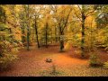 Edith Piaf - Autumn Leaves