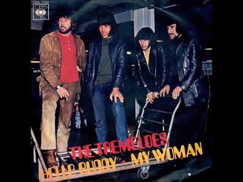 The Tremeloes ‎– Hello Buddy  1971