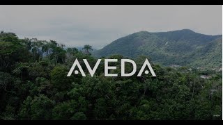 Aveda’s decades-long relationships with communities around the world showcased a