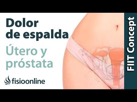 Vibratore per la prostata Massaggiatore sulla prostata