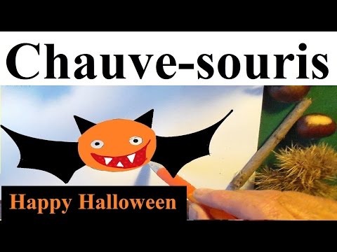 comment colorier une chauve souris