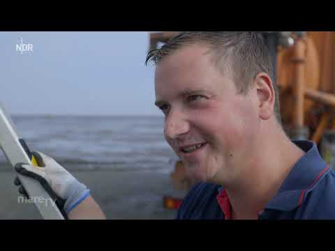 mareTV: Elbmündung - Eben im Takt der Gezeiten Doku (2019)